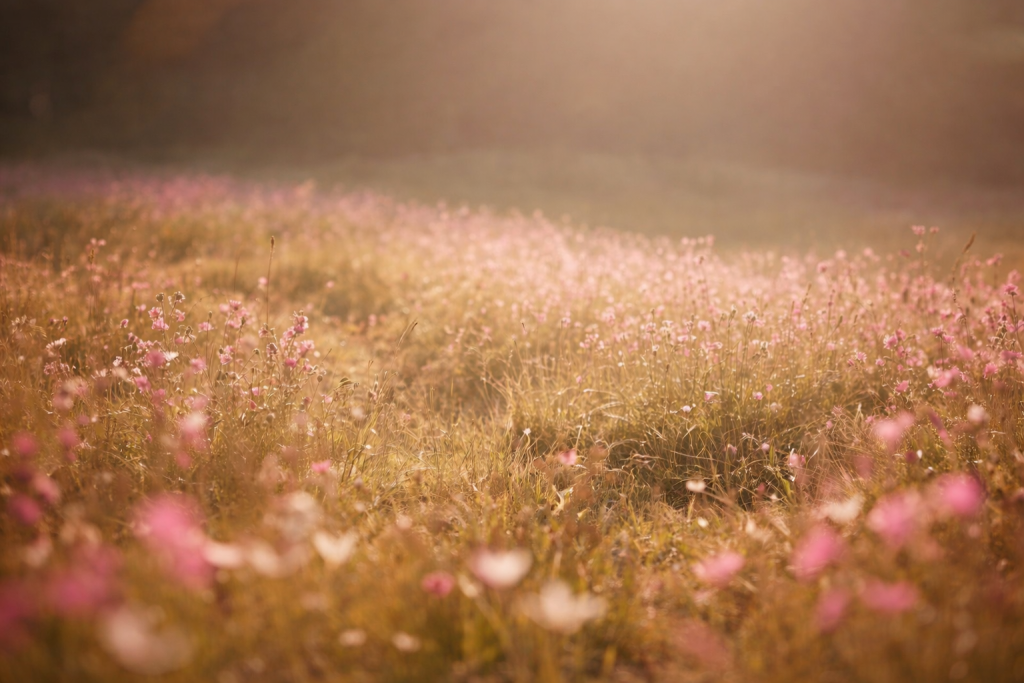 Blog bien-être développement personnel et émotionnel